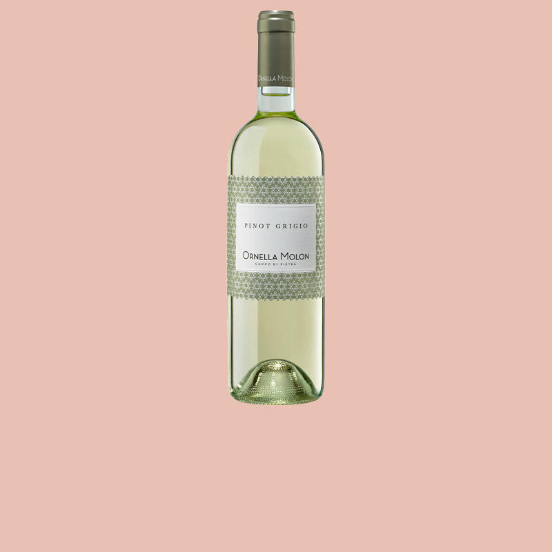 Pinot Grigio Wein - Ornella Molon - Campo di pietra